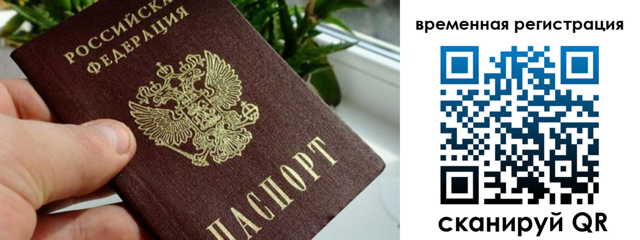 прописка поиск в Назрани